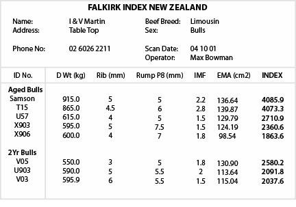 Example Index